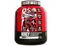 BAD ASS Whey Fitness Authority 2кг