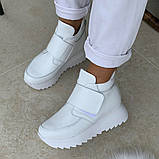 Кросівки жіночі шкіряні білі демі /23255/ 38р, фото 2