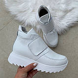 Кросівки жіночі шкіряні білі демі /23255/ 40р, фото 2