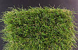 Штучна трава Congrass Jakarta 40 - ширина 2 і 4 метри /безкоштовна доставка/ - єВідновлення, фото 9