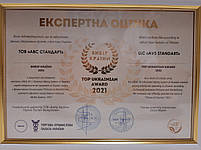 Насіння під гранстар Астон 58ц/га. Соняшник під гранстар Астон A-G. Екстра фракція, фото 11