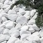 Декоративна галька мармурова біла 30-60 мм, 700 г, фото 3