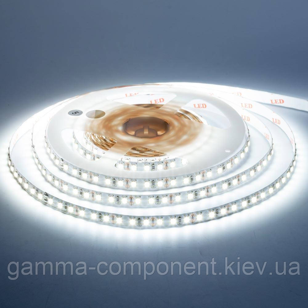 Світлодіодна стрічка 12В AVT New PROFESSIONAL SMD 3528 (120 LED/м), білий холодний, IP20 - бобіна 50 метрів