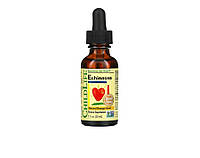 ChildLife Essentials, Echinacea, эхинацея, вкус апельсина, 30 мл (1 жидк. унция)