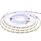 Світлодіодна стрічка біла холодна 24V AVT smd2835 120 LED/м IP20, фото 3