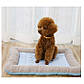 Лежак для собак і кішок дихаючий водонепроникний 55 х 45 см, фото 2