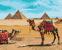 Картина за номерами, Єгипетський колорит, (BS52718), 40 х 50 см, (Без коробки), Brushme
