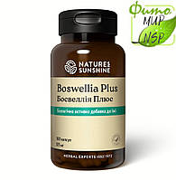 Boswellia Plus Босвеллия Плюс