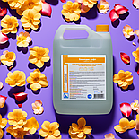 Бланідас софт  5 л, фото 8