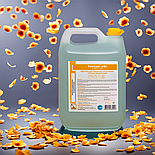 Бланідас софт  5 л, фото 7