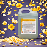 Бланідас софт  5 л, фото 3