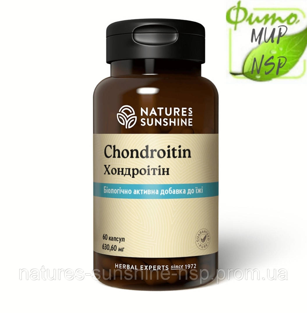 Chondroitin Хондроїтин