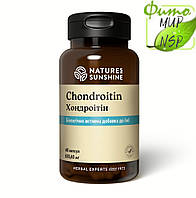 Chondroitin Хондроитин