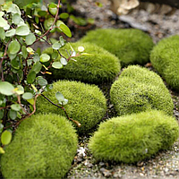 Искусственный мох на камнях для флорариума, мини-сада, вазона, моссариума, рокария, микроландшафта, диорам 3