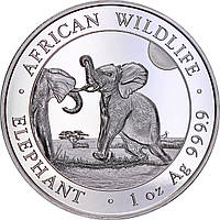 Серебряная монета 1oz Слон 100 шиллингов 2024 Сомали