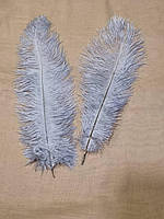 Страусовые перья, длина 22-25 см. Для декора. Цвет Серый