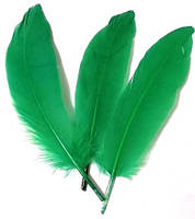 Пір'я гусака Декоративне перо Колір Зелений 13-20 см