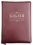 Біблія - сучасний переклад. Бордова. Замок, індекси, шкіра 175х250 мм, фото 3