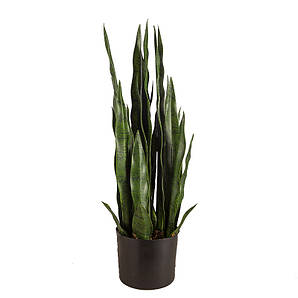 Штучна рослина Sansevieria 65 см. DW-10