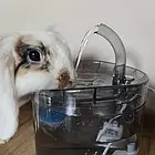 Автоматична фонтан-поїлка для собак, кішок 2000 мл PURLOV 20700, фото 4