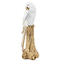 Фигурка интерьерная Parrot Albus 34 см ArtDeco AL117946 BB, код: 7523024