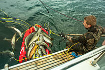 Комментарии о нашей продукции от президента Федерации Подводного Спорта Грузии на Чемпионате: KristiansundCup 2016 - 5-6th of August 18