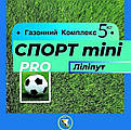 Авторський газон Газонний комплекс СПОРТ міні 5 кг газон на 1сотку насіння газон ліліпут + активатор проростання