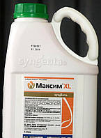 Протруйник Максим XL 035 FS (5л) (Maxim XL Syngenta)