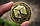 Позолочена сувенірна монета NEO, фото 7