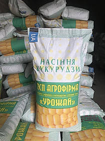 Насіння кукурудзи МОНІКА 350 МВ (ФАО 350)