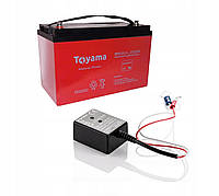 Аккумулятор для квартиры гелевый Toyama Motive NPM120 120Ah 12V AGM (Аккумуляторы на UPS)
