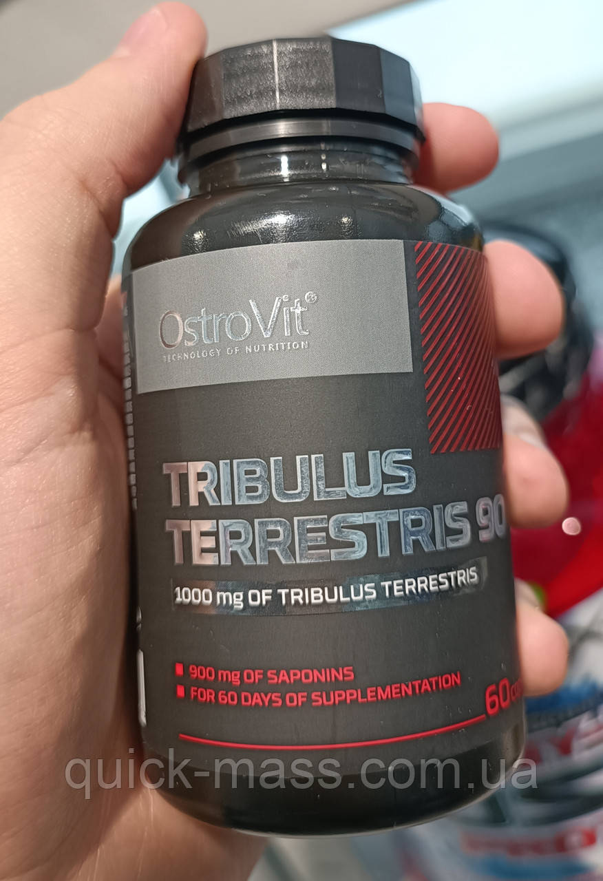 Трібулус Ostrovit Tribulus Terresteris 60 caps, фото 1