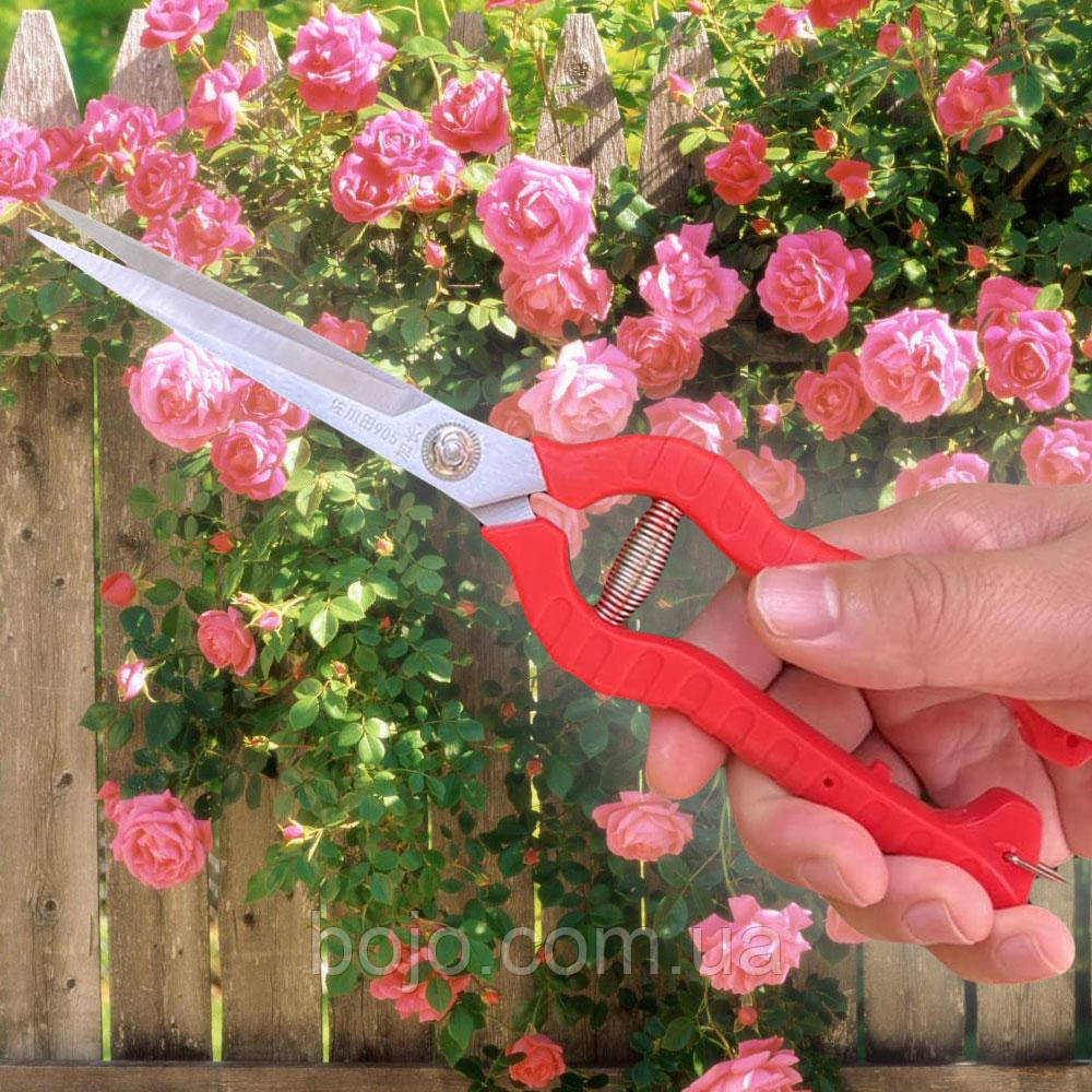 Садовий секатор для овочів та фруктів Professional-Wool-Shears-Sheep 7 см MB-подібна пружина 1702 (JS)