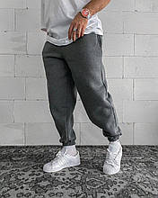 Чоловічі спортивні штани теплі (сірі) демісезонні якісні затишні комфортні зима-осінь sKor30