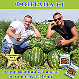 Кавун Фонтана F1 крупноплідний, ТМ Libra seeds (1000 насінин), фото 3