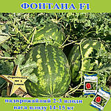 Кавун Фонтана F1 крупноплідний, ТМ Libra seeds (1000 насінин), фото 8