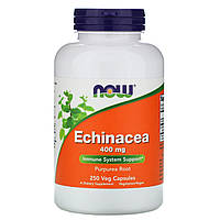 Эхинацея Now Foods (Echinacea) 400 мг 250 растительных капсул