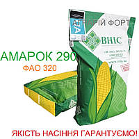 Кукуруза Амарок 290. Оригінальне насіння кукурудзи ВНІС. ФАО 320 посівна кукуруза