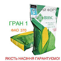 Кукуруза Гран 1. Оригінальне насіння кукурудзи ВНІС. Посівна кукурудза ФАО 370