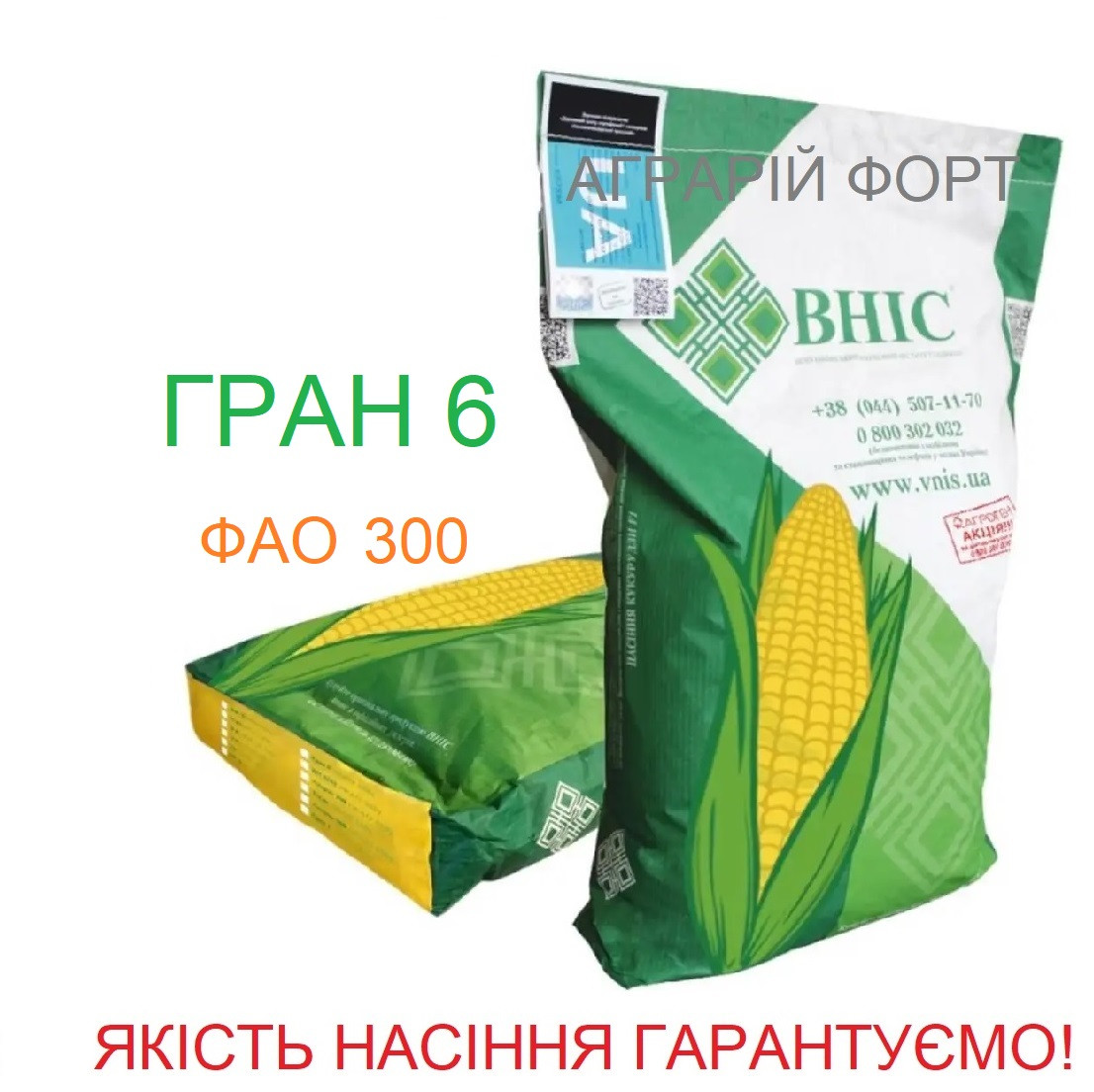 Кукуруза Гран 6. Оригінальне насіння кукурудзи ВНІС. ФАО 300 посівна кукурудза.