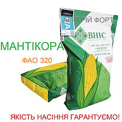 Кукурудза Мантікора. Оригінальне насіння кукурудзи ВНІС. Посівна кукурудза ФАО 320