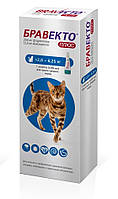 Бравекто Плюс для Котов Bravecto Plus Cat 2,8-6,25кг 250 мг 1 пипетка