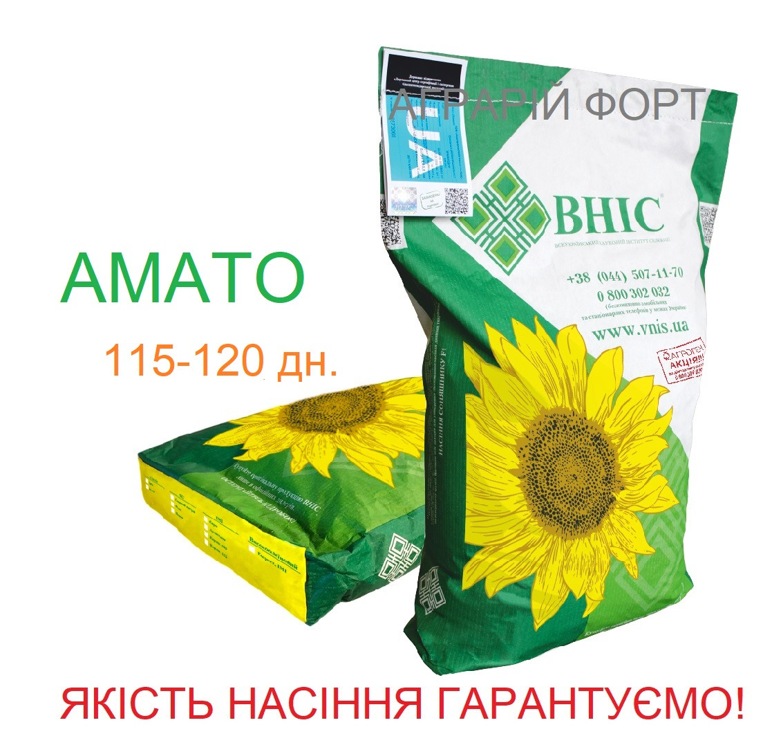 АМАТО - насіння соняшника ВНІС. якісне насіння соняшнику, оригінал