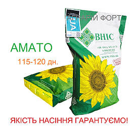 Амато Насіння соняшника ВНІС. якісне насіння соняшнику, оригінал
