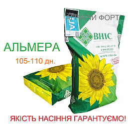 АЛЬМЕРА - насіння соняшника ВНІС. Якісне насіння соняшника під гранстар. Оригінал