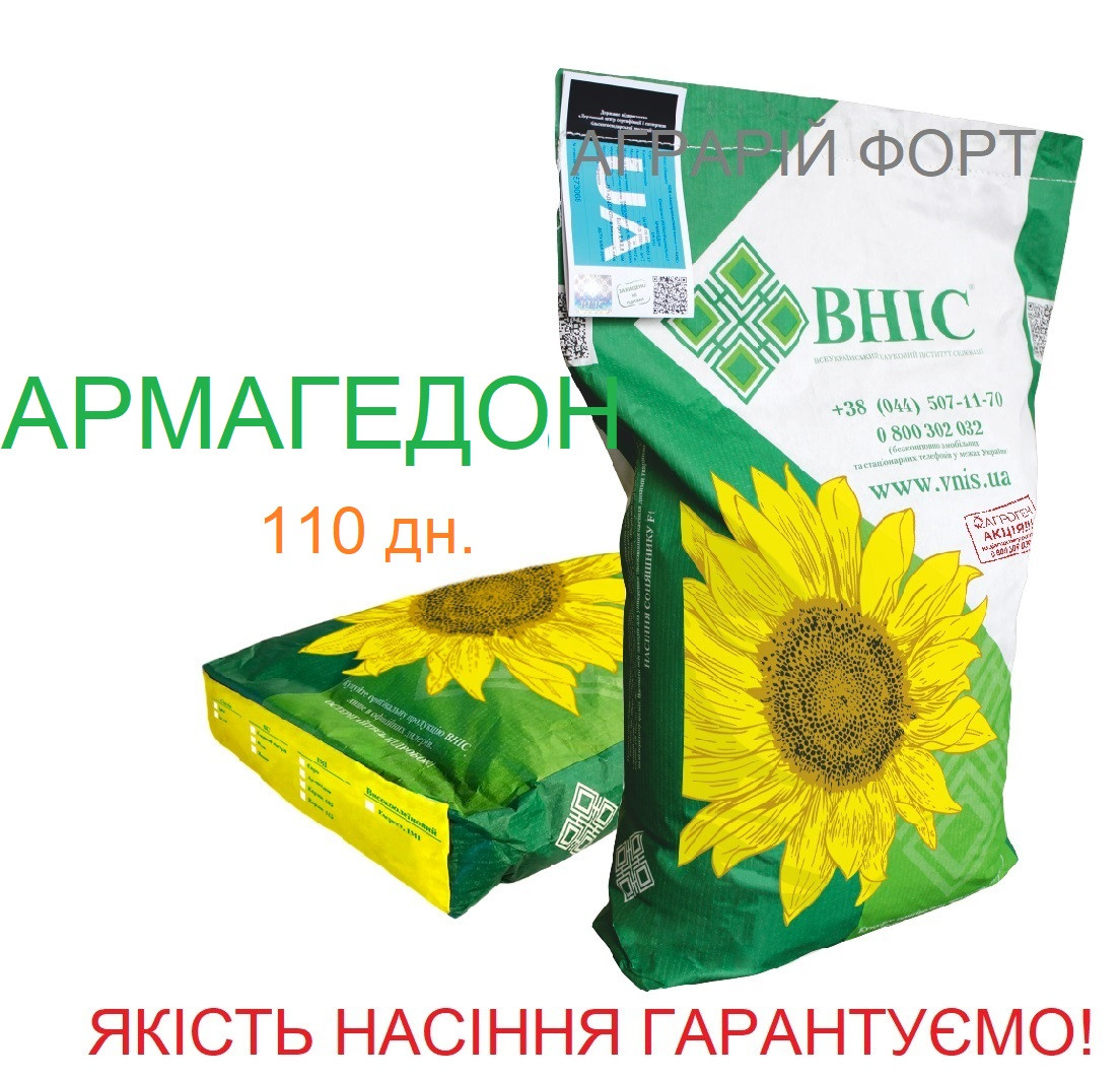 АРМАГЕДОН  Насіння соняшника під Євро Лайтнінг. Оригінальне насіння соняшника ВНІС 2022 р екстра