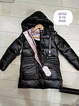 Куртки утеплені для дівчаток оптом, розміри 8-16 років, Grace,арт. 60152