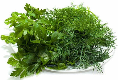 Насіння кропу, петрушки