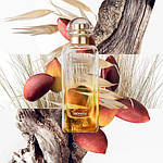 Hermes Un Jardin A Cythre туалетна вода 100 ml. (Гермес Ун Жардин Е Цитре), фото 3