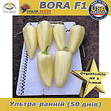 Насіння найранішого перцю,  Бора F1 / Bora F1 (500 насінин ) ТМ Spark Seeds (США), фото 2